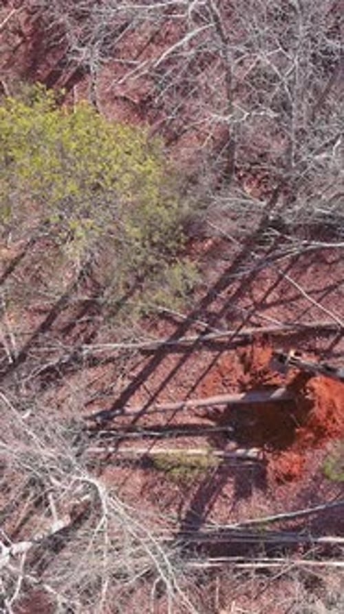 Trees are Uprooted the Land is Prepared for Construction By Using a Tractor