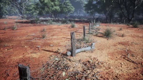 Old Wooden Fence Line in Dry Outback Landscape