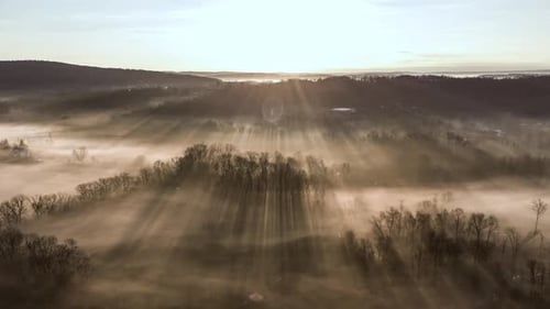 An aerial time-lapse view of the morning fog dispersing with the sun rays shining through the trees.