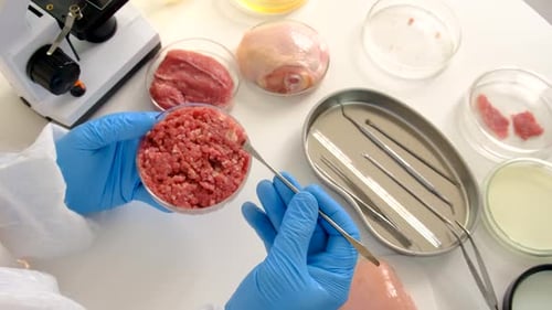 Ground Meat Sample in Lab, Close Up