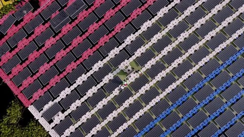 Painéis solares flutuantes que fornecem energia renovável. Vista aérea flutuando sobre células solares e trabalhadores
.