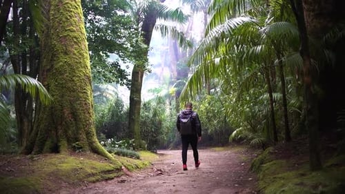 Sportsman rearview trekking a track trail through mountains walking by muddy paths after rain amidst