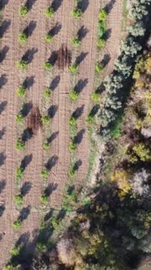 Rural Natural Gray River Aerial Drone