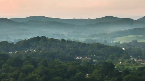 Mountain Forest with Green Canopies in Humid Summertime Season North Carolina Wild Woods Nature in