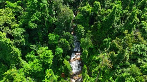 Aerial view: Stunning waterfall in lush tropical forest.