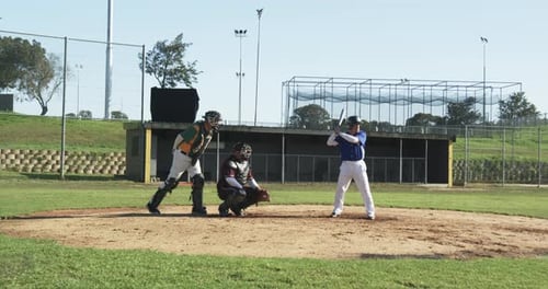 Baseball Players Practicing on the Field on a Sunny Day