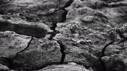 Rain Falling on Parched Cracked Earth in Black and White