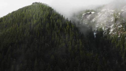 Timelapse of Clouds Moving Over Dense Forest On A Windy Day At Olympic Peninsula In Washington State