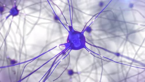 Células nervosas, sinapses e axônios transferem sinais e impulsos entre si