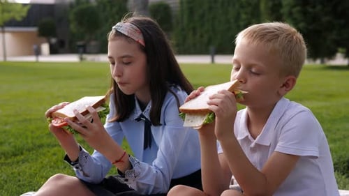 Classmates Eat Sandwiches Together in the School Yard Sitting on the Green Grass