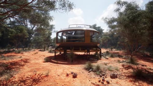 Structure That Seems to Have Grown Out of the Forest