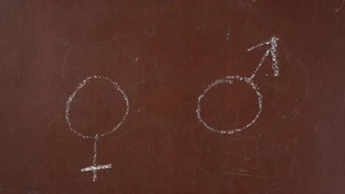 Drawing Gender Equality Concept with Chalk