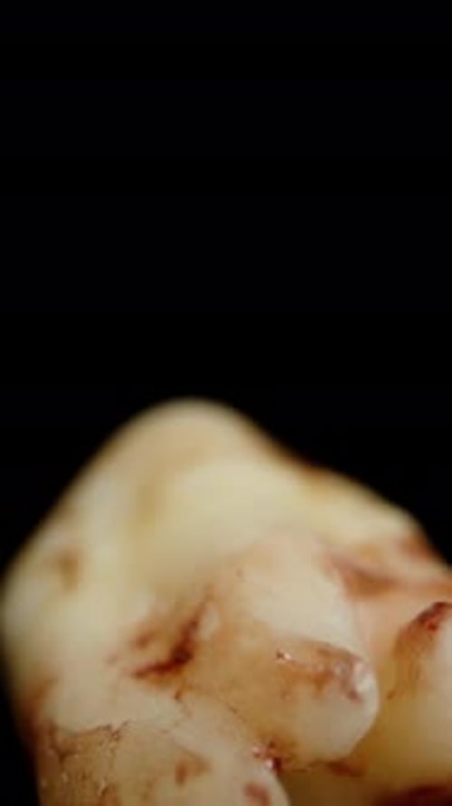 Close Up of a Ginger Root