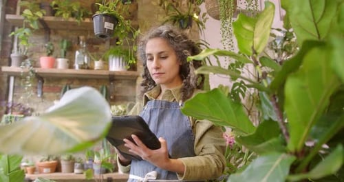 Woman Working on Tablet Surrounded by Plants