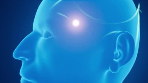 Animated Brain Activity with Neural Network Connections