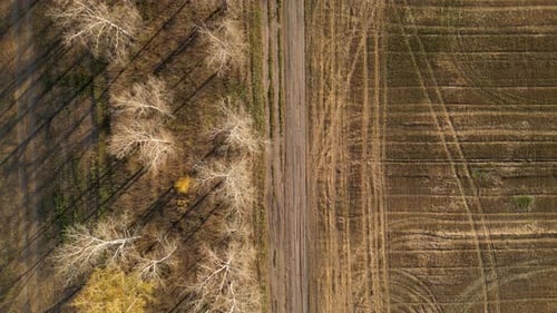 Leere Landstraße und Feld in ländlicher Gegend am Herbsttag Luftaufnahme