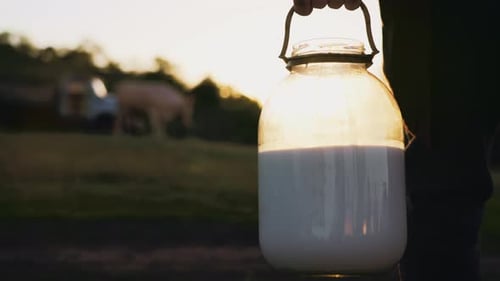 Plastic Milk Jar in Woman Hands on Farm Milkmaid Farmer Carrying Raw Milk on Field in Village