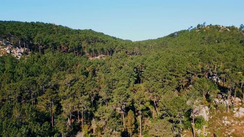 Aerial View Woodland Hills Under Blue Sky