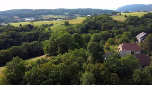Aerial view of a forest with a few houses on a hillside