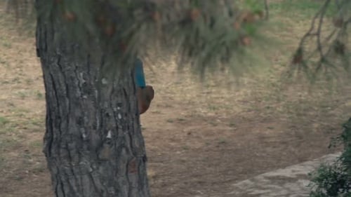 Young man jogging in green park for a healthy lifestyle in super slow motion