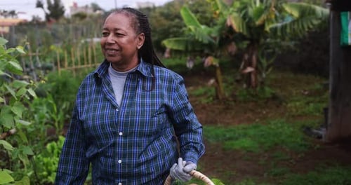 Farmer african woman walking around vegetables garden - Agriculture, local business and organic food