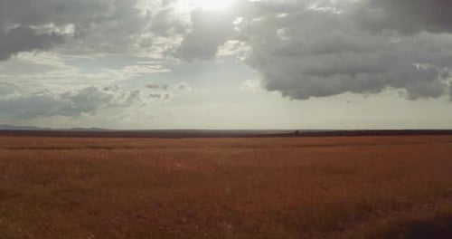Aerial shot of fields of Kenya Masai Mara National Safari Reserve in Africa. Concept of vacations,