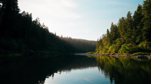 Still River Waters Reflect Surrounding Forest And Sky