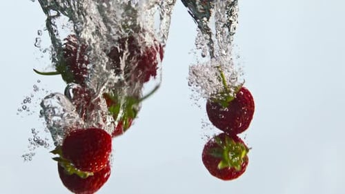 Fresh strawberries splashing into water with bubbles