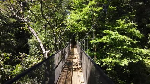 Point of view shot walking towards a hanging bridge in a tropical forest, Osa Peninsula Costa Rica