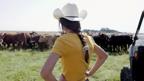 Girl in Cowboy Hat Watching Cattle Grazing on Ranch 10 Seconds or Greater