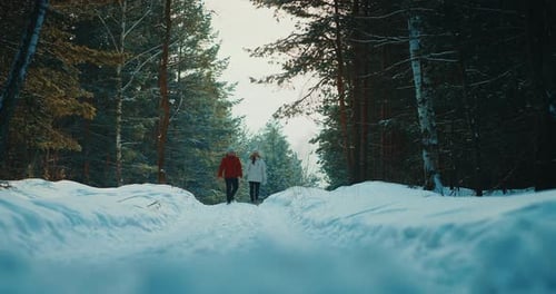 Spaziergang durch den fabelhaften Winterkiefernwald Junger Mann und Frau halten sich an den Händen und genießen die Natur Prores