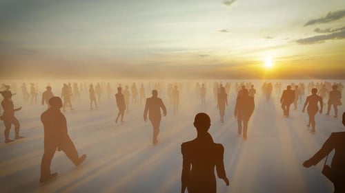 Silhouettes of People Walking into Golden Horizon at Sunrise