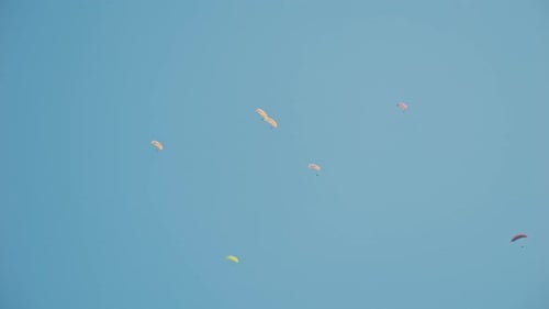 Paragliding Adventure Sport