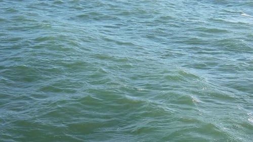 Flight Over Sea
