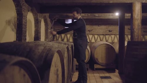 Winemaker Inspecting Wine From Barrel in Cellar