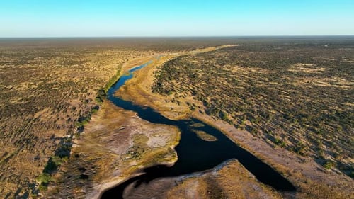 Aerial view of wildlife along the Boteti river, Botswana, Africa.