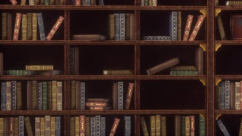 Old books on bookshelves in a vintage library. Seamless looping animation