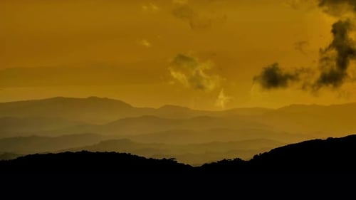 Nube y bosque