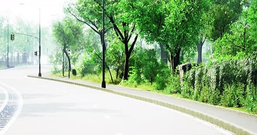 Lush Greenery Welcomes Morning Light Along a Winding Road in a Serene Park