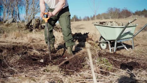 Man Digging In The Ground With A Shovel To Get Soil Then Placed In A Wheelbarrow. - static shot
