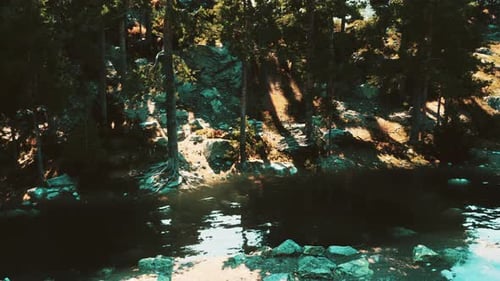 Serene Alpine Retreat with a Picturesque Lake and Fragrant Pine Trees