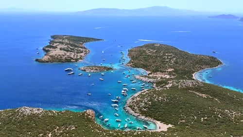 Akvaryum Bay.