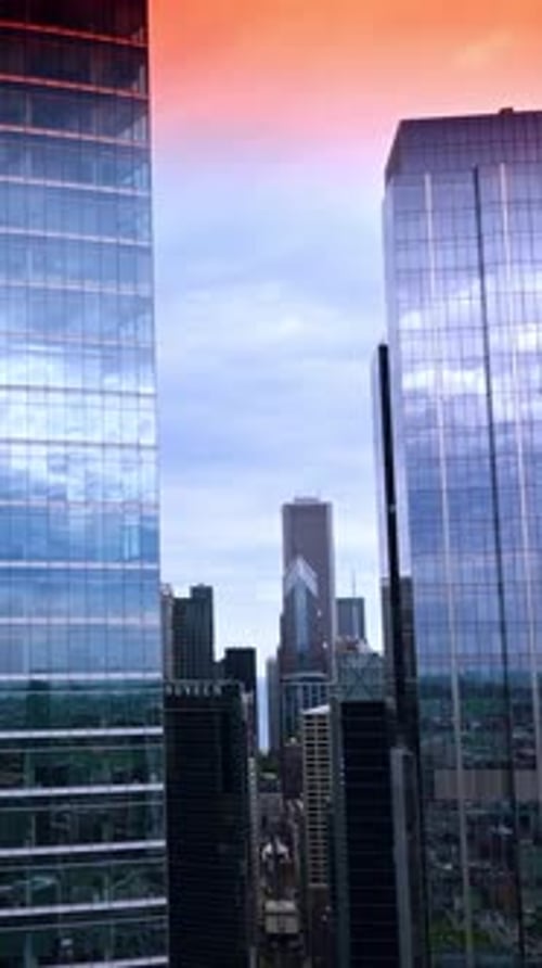 Fascinating pink sky reflecting in the mirror windows of skyscrapers.