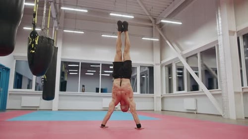 Young Muscular Man with a Naked Torso is Training in the Gym and Doing Pushups From a Handstand