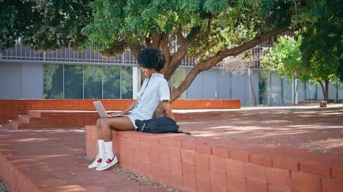 Girl Waving Hand Laptop Camera Sitting Sunny Park African Woman Talking Online