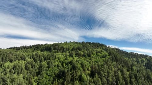 Flight over the forest and mountains in the region of Svaneti, Georgia