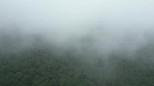 Flight between white clouds, view over the clouds of a lush forest, impressive majestic landscape