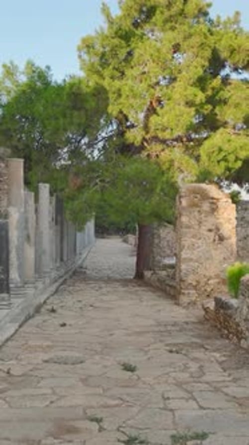 Vertical Video Mediterranean Coast and Ancient Ruins Combine in Syedra a Historic City in Alanya