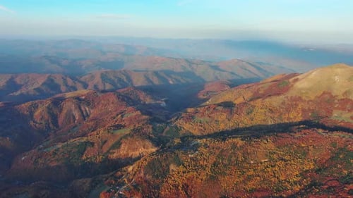 Flying Over Autumn Forest in Mountain