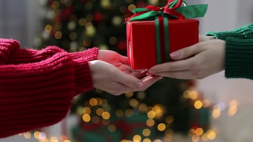 Christmas Gift Exchange by Christmas Tree with Lights